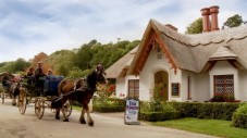 Killarney Jaunting Car Tour & Lake Cruise for Two